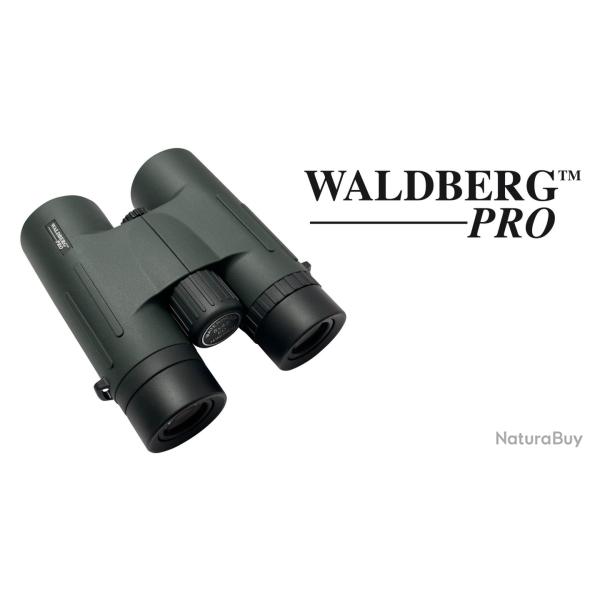 Jumelles Waldberg 8 x 42 ED