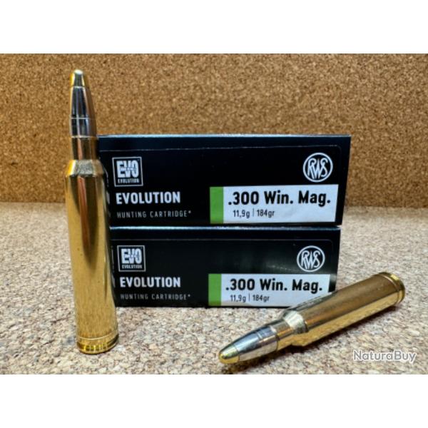 2 BOITES DE MUNITIONS RWS 300 WIN MAG EVO  11.9 gr