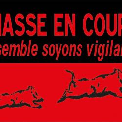 Pack 20 panneaux 60 x 40 cm CHASSE EN COURS