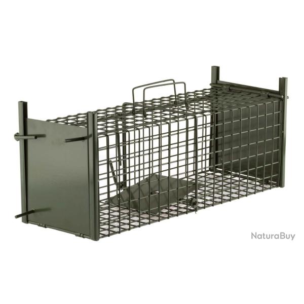 Rati�re De Passage Deux Entr�es