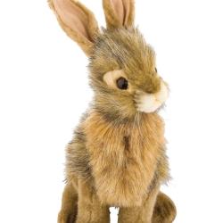 Peluche Li&egrave;vre Assis