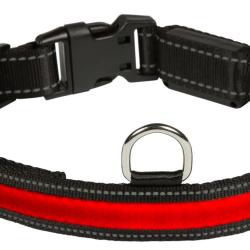 Collier Lumineux Num'Axes Eyenimal Rechargeable-L