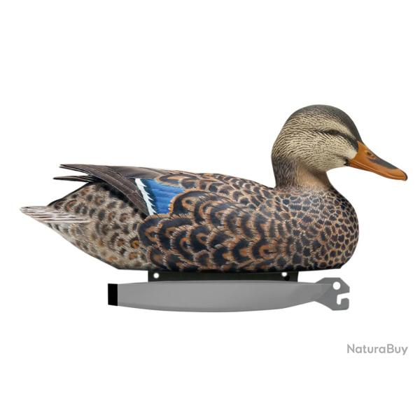 Pack Canard Femelle Colvert Ultra HD Mouss Decoys