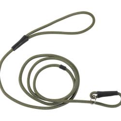 Laisse De Pr&eacute;sentation Stepland Pour Chien