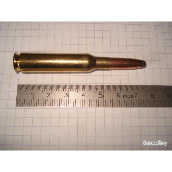 une cartouche de 6,5x54 mannlicher schoenauer de marque PPU ogive demi blinde pour collection