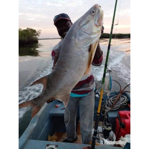 Pche au Sine et Saloum.  Une aventure magique au coeur du Sngal!