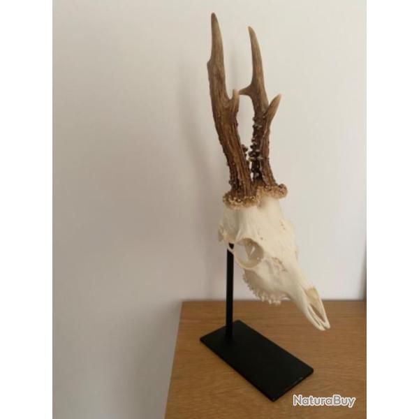 Support pied d'estale m�tallique