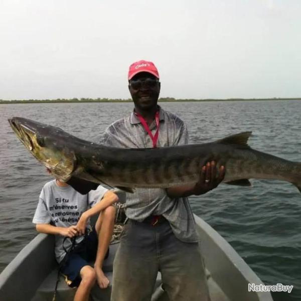 "Aventure de p�che d'une journ�e au coeur du Sine et Saloum, S�n�gal !"