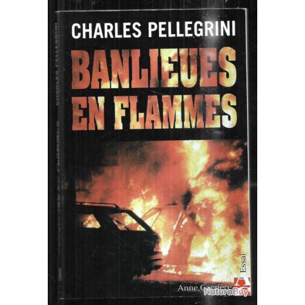 banlieues en flammes charles pellegrini