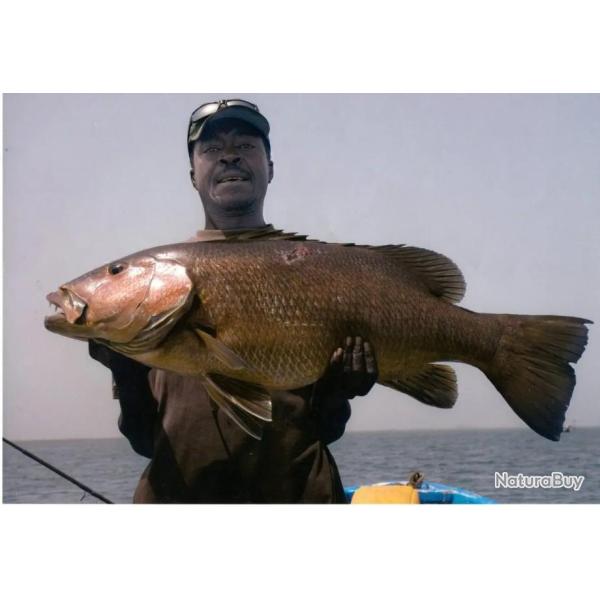 Deux jours de p�che �poustouflants avec bivouac et p�che de nuit au Sine et Saloum