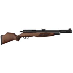 Carabine PCP Gamo RISER Punisher calibre 5,5 mm 40 Joules