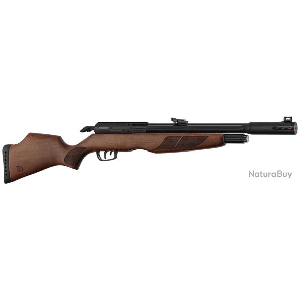 Carabine PCP Gamo RISER Punisher calibre 5,5 mm 40 Joules