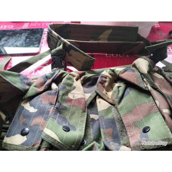 Gilet tactique plastron