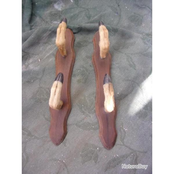 porte-fusil ratelier 2 armes pattes de chevreuil