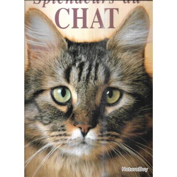 splendeurs du chat pr�face robert de laroche