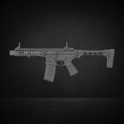 FAR 556 G&G Armament AEG