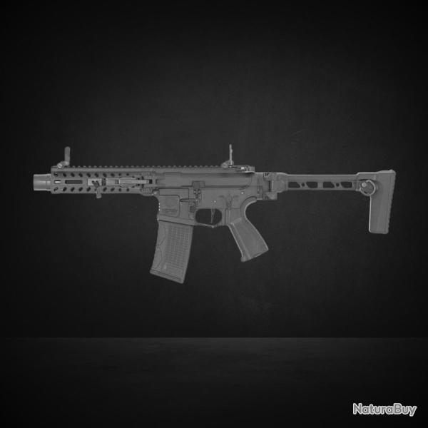 FAR 556 G&G Armament AEG