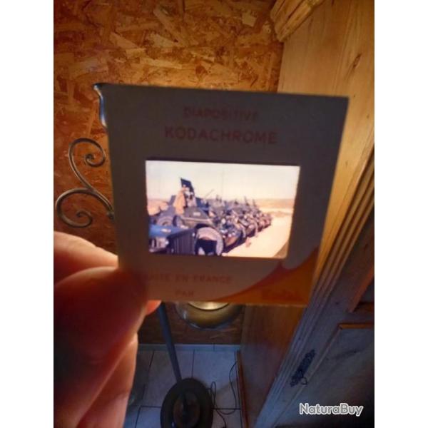 Alg�rie  diapositives