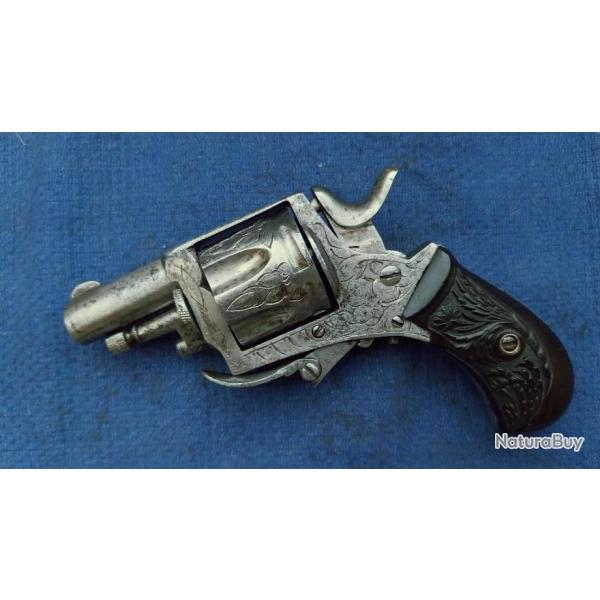 Jolie bulldog 320 de luxe