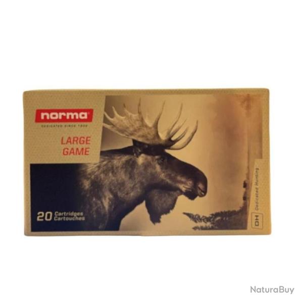 Munitions NORMA Cal.30-06 Oryx 13g 200 grains par 60