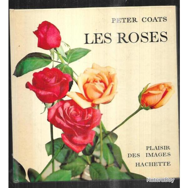 les roses de peter coats plaisir des images