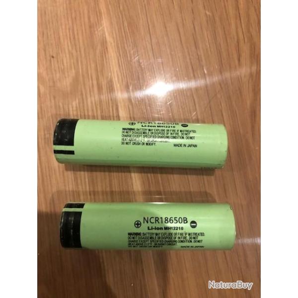 Pile rechargeable Pard