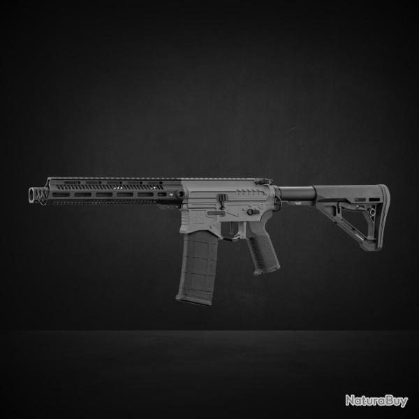 R15 mod 1 Zion Arms noir/gris garde main long