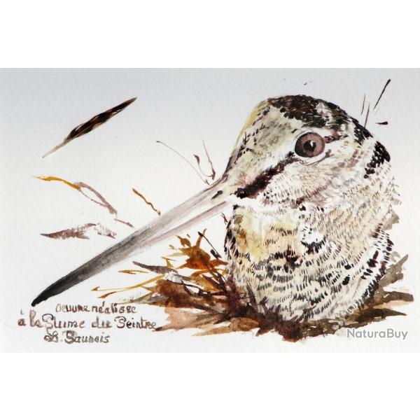 DESSIN � la PLUME DU PEINTRE : OEUVRE ORIGINALE encadr�e  #39