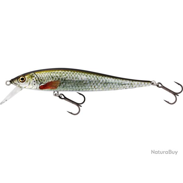 Poisson Nageur Westin Jerkbite SR 9cm 9cm 8g Real Roach