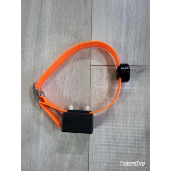COLLIER DRESSAGE INNOTEK
