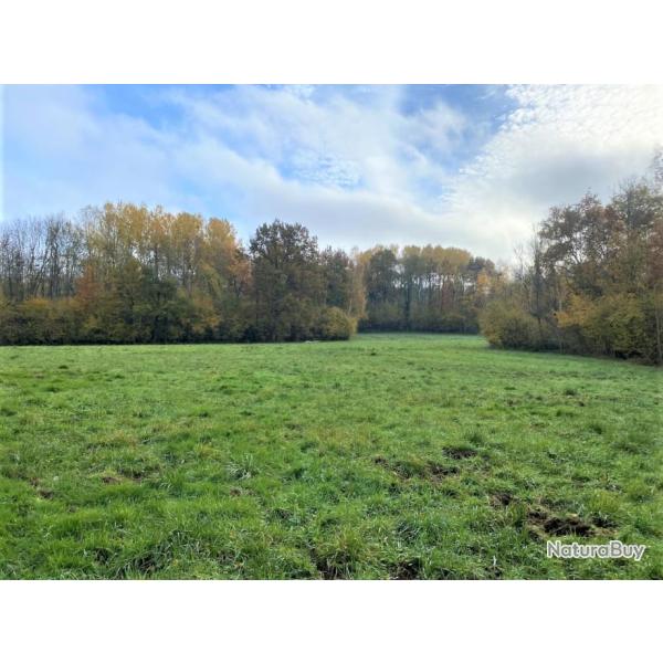 Bois de 23.5 ha avec �tangs et clairi�re (proche de Laon, Aisne)