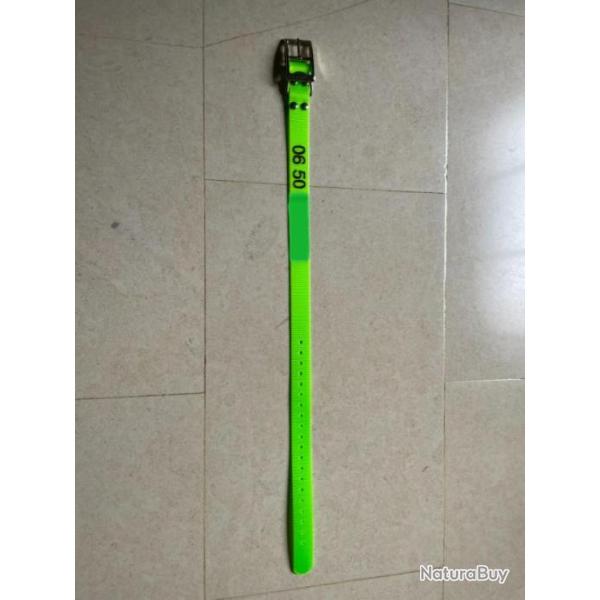 Collier de chien grav� taille standard vert