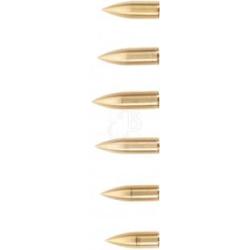 BIG TRADITION - Pointe F&ucirc;t Bois Laiton 5/16" 100 grains