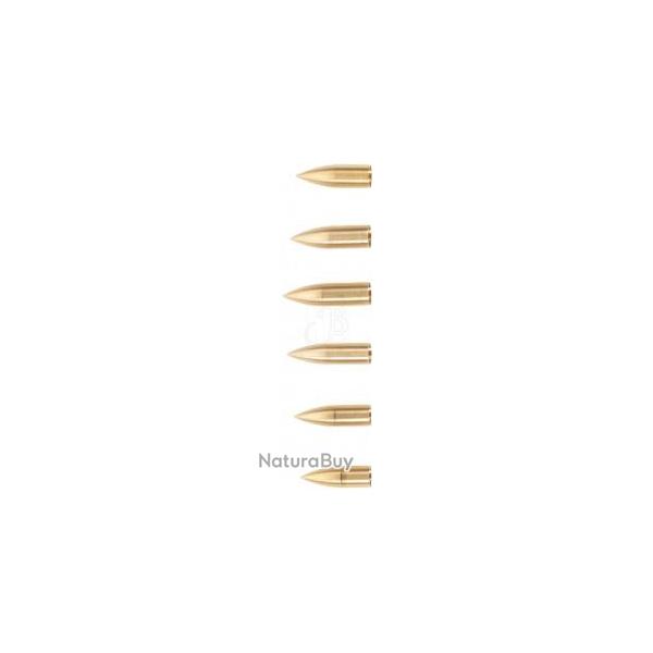 BIG TRADITION - Pointe F�t Bois Laiton 5/16" 100 grains
