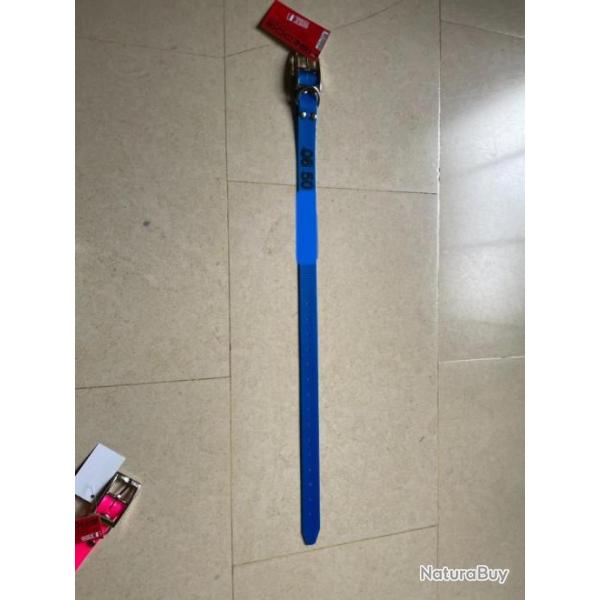 Collier de chien grav taille standard bleu