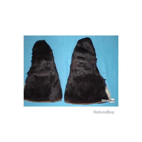 Gants Trappeurs en Ours Noir Fin XIX�me/d�but XX�me ! Collection !