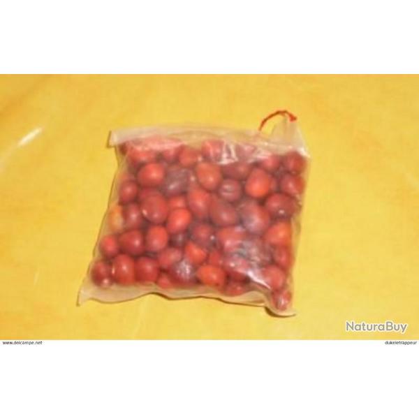 Graines de Mescal ! Pour Indianiste,Trappeur, etc...