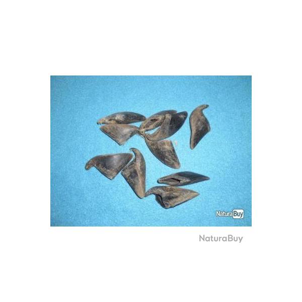 Sabots de daims pour Indianiste, Trappeur, Reconstitution, Trade, etc...