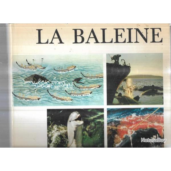 la baleine traduit de l'anglais cachalots et c�tac�s divers