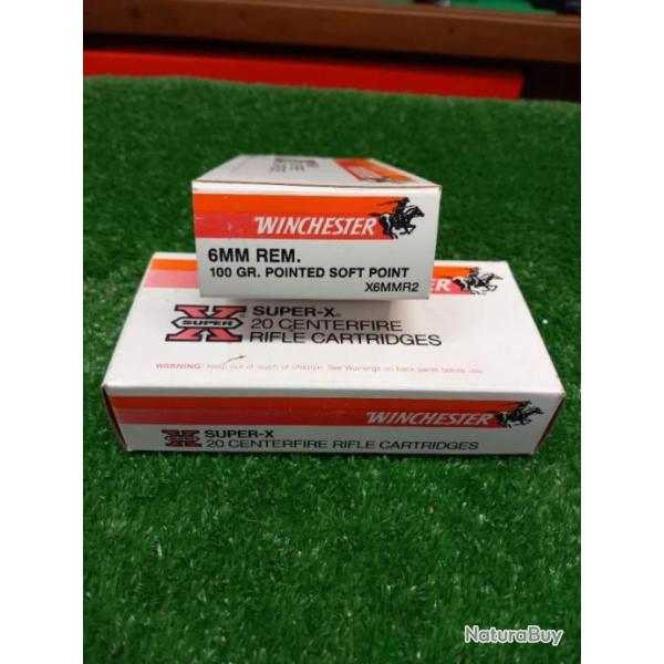 Munitions winchester 6mm remington .psp 100 gr.
