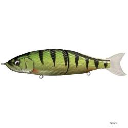 Poisson Nageur Babyface BB180 MSS 10 - Perch