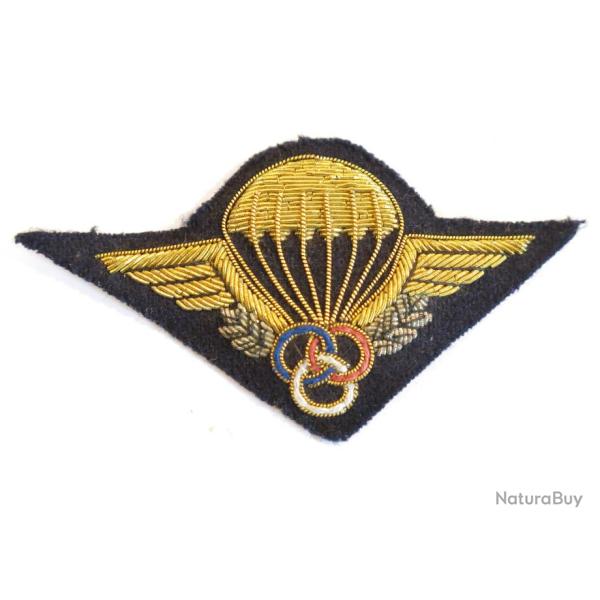 Brevet moniteur para Franais brod canetille rf bo 117