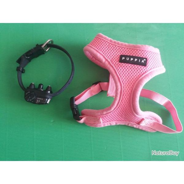 1 LOT DE COLLIERS + HARNAIS +COLLIER ANTI ABOIMENT-