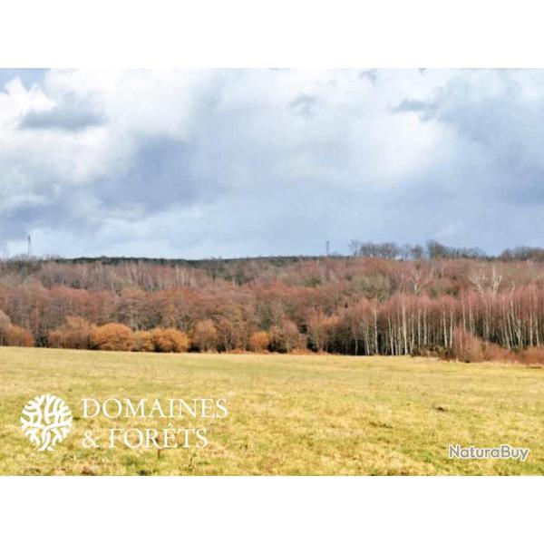 Domaine Hydrique & Forestier 110 HA en Corr�ze DF-611-A