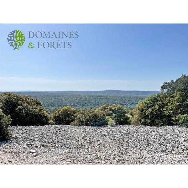 Proprit de Chasse & d'Agrment en Ardche 120 hectares DF-265-A2