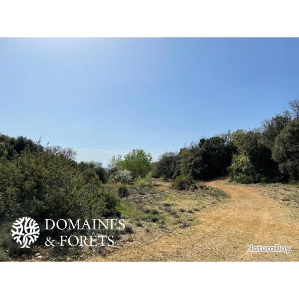 Propri�t� de Chasse en Ard�che 23 hectares DF-265-A4