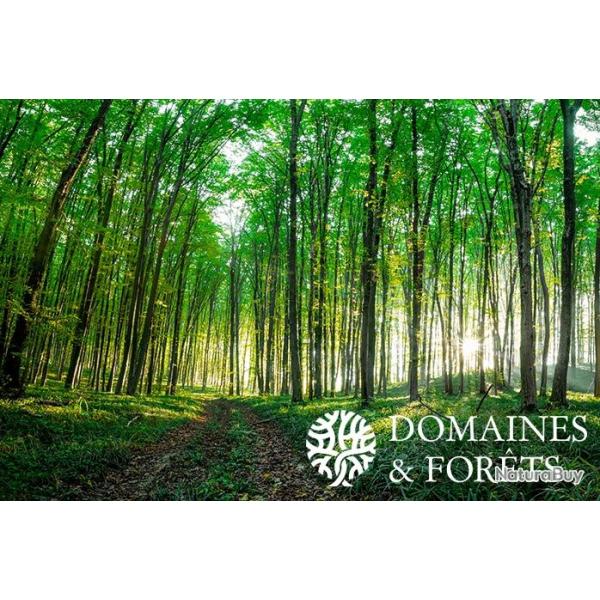 For�t 59 Ha, Loir-et-Cher DF-1010-S