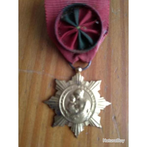 MEDAILLE DE LA FAMILLE FRANCAISE MINISTERE DE L HYGIENE ECHELON OR