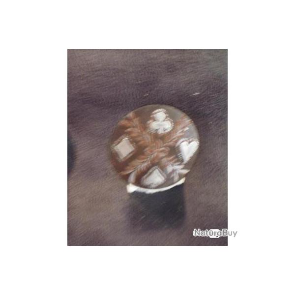 Conchas divers vendus � la pi�ce ! 3