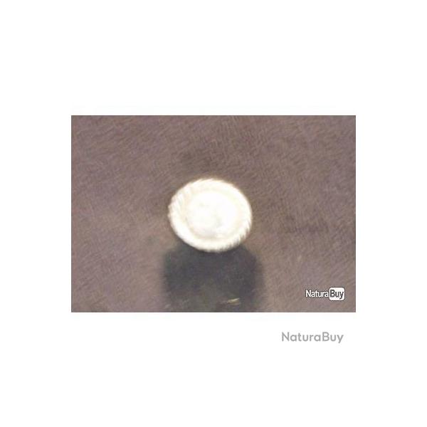 Conchas divers vendus � la pi�ce ! 14